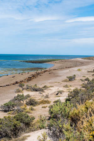 panoramic view of the beach near Puerto Madryn in Valdes Peninsula in northern Patagonia, Argentina....