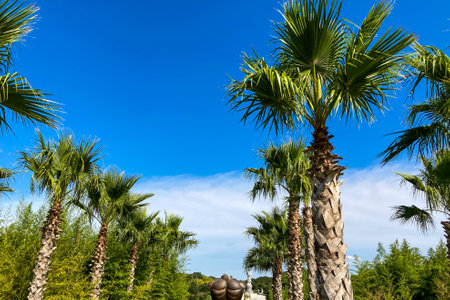 Lisbon / Portugal: 10/09/2020: Amazing view of the buddha garden with a composition of different sculptures in brass or stone. more in asian style, other in greek style.のeditorial素材