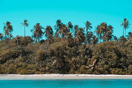 View of a beautiful tropical beach with white sand, palm trees, turquoise ocean with clouds on sunny summer day. Perfect landscape background for relaxing vacation, Rarotonga, Cook Island.のeditorial素材
