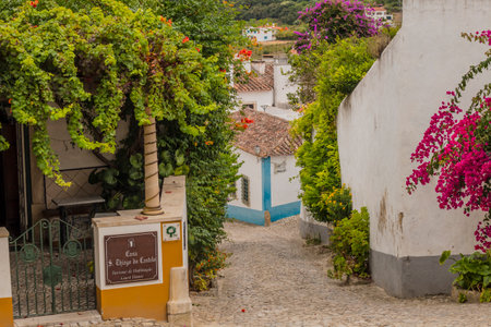 OBIDOS, PORTUGAL - 08-09-2020 : Souvenir shops and colorful narrow streets of the medieval portuguese city of Ãbidos, a tourist attraction in central Portugal. famous destination for its architecture.のeditorial素材