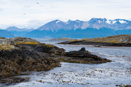 Lapataia bay landscape, Tierra del Fuego. Landscape of the Atlantic Ocean in Ushuaia, Argentina landmark.の写真素材