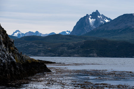 Lapataia bay landscape, Tierra del Fuego. Landscape of the Atlantic Ocean in Ushuaia, Argentina landmark.の写真素材