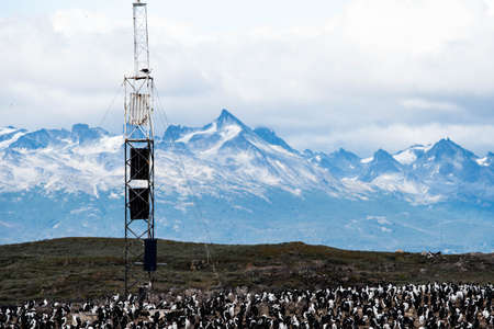 Bird Island in the Beagle Channel near the Ushuaia city. Ushuaia is the capital of Tierra del Fuego province in Argentina.の写真素材