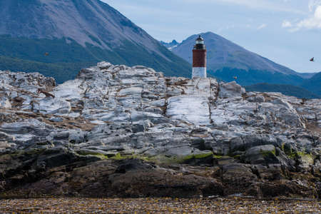 Bird Island in the Beagle Channel near the Ushuaia city. Ushuaia is the capital of Tierra del Fuego province in Argentina. Place full of birds and pinguin next to a lighthouse.の写真素材