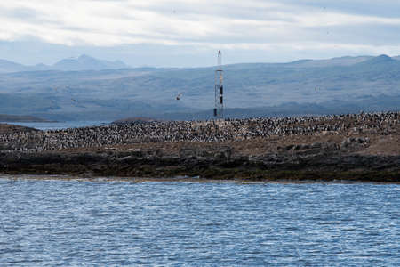 Bird Island in the Beagle Channel near the Ushuaia city. Ushuaia is the capital of Tierra del Fuego province in Argentina.の写真素材