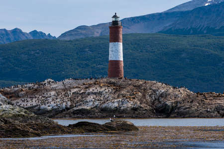 Bird Island in the Beagle Channel near the Ushuaia city. Ushuaia is the capital of Tierra del Fuego province in Argentina. Place full of birds and pinguin next to a lighthouse.の写真素材