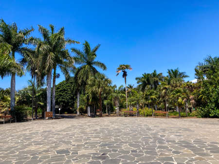 Botanical tropical city park of Puerto de la Cruz, Tenerife, Canary Islands, Spainの写真素材