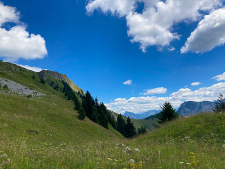 Panorama of the Switzerland Alpine mountains. Ridges, peaks and lake are visible in the background. Beautiful view in the French Canton.の写真素材