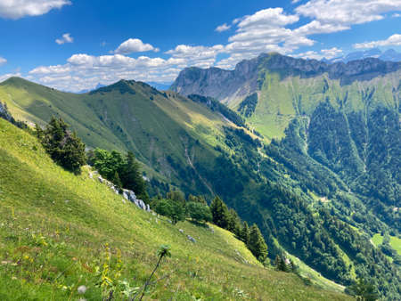 Panorama of the Switzerland Alpine mountains. Ridges, peaks and lake are visible in the background. Beautiful view in the French Canton.の写真素材