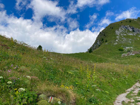 Panorama of the Switzerland Alpine mountains. Ridges, peaks and lake are visible in the background. Beautiful view in the French Canton.の写真素材