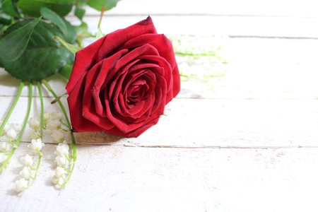 Red rose with lily-of-the-valleyの写真素材