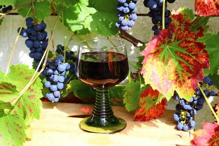 Wineglass and grapesの写真素材