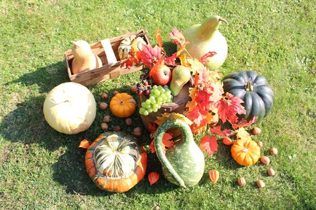 Gourds with ciderの写真素材