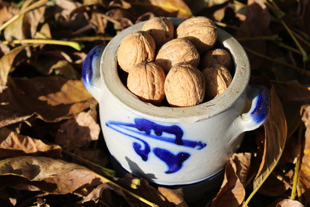 Walnuts in the potの写真素材