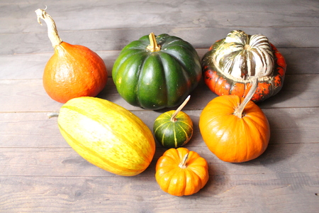 Various type of pumpkinの写真素材