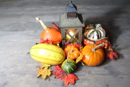 Gourds with lantern and foliageの写真素材