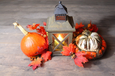 Gourds with lantern and foliageの写真素材