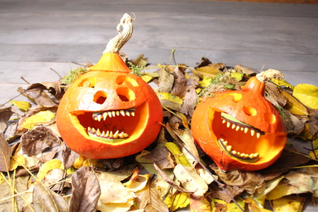 The laughing gourdsの写真素材