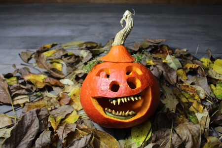 A laughing gourd faceの写真素材