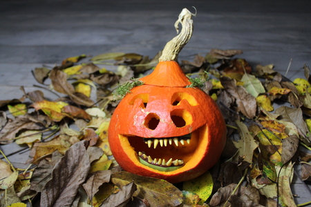 A laughing gourd faceの写真素材