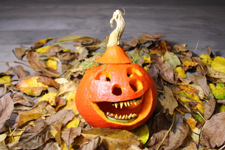 A laughing gourd faceの写真素材