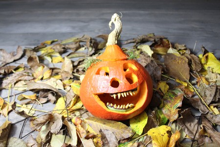 A laughing gourd faceの写真素材