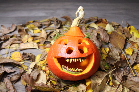 A laughing gourd faceの写真素材