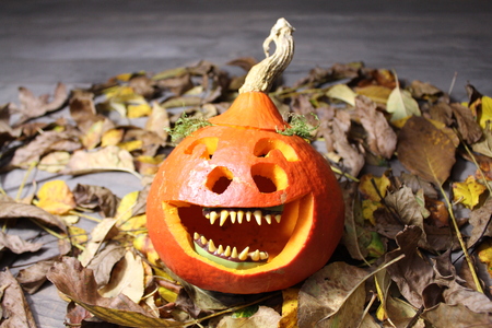A laughing gourd faceの写真素材