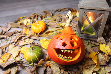 Funny pumpkin and a lanternの写真素材
