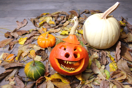 Happy Halloweenの写真素材