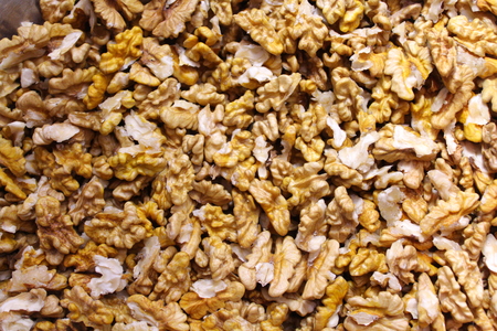 Walnut kernelsの写真素材