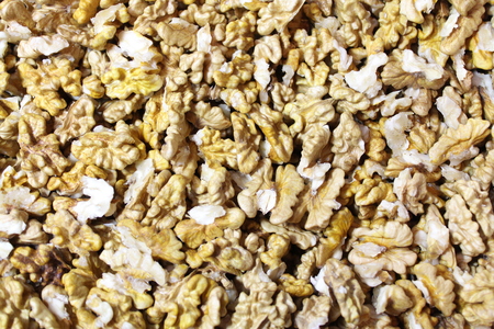Walnut kernelsの写真素材