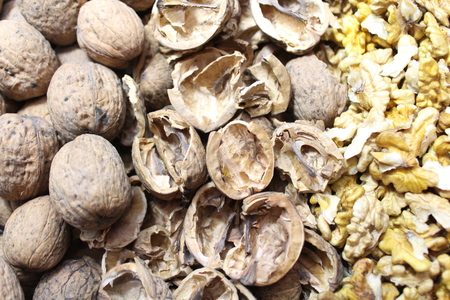 Walnuts, walnut shells and walnut kernelsの写真素材