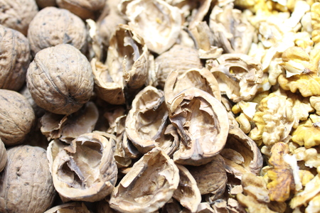 Walnuts, walnut shells and walnut kernelsの写真素材
