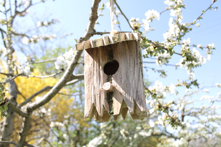 Birdhouse in the pear treeの写真素材
