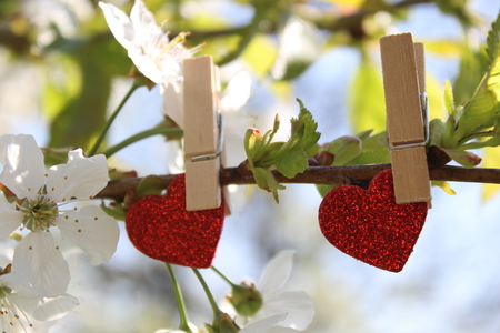 A hearty spring greetingの写真素材
