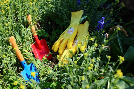 planting timeの写真素材