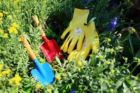 planting timeの写真素材