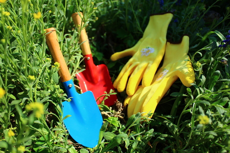 planting timeの写真素材