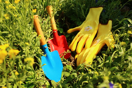 planting timeの写真素材