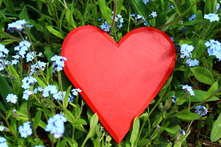 Red heart and flowers
