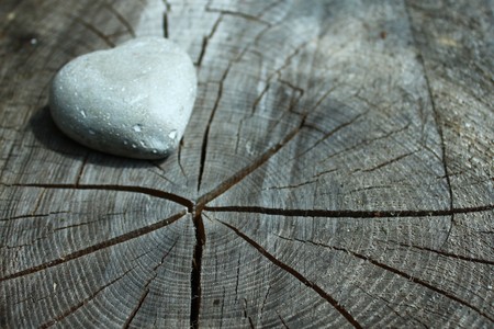 A heart of stone from a logの写真素材