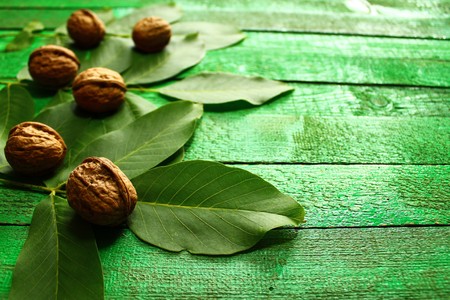 Walnuts and walnut leaves