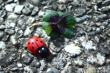 Good luckの写真素材
