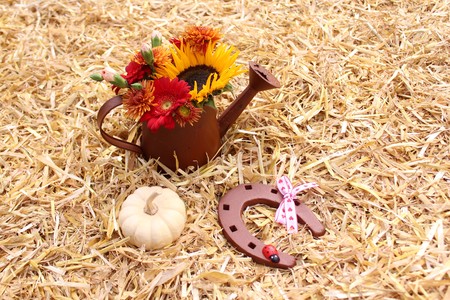 Magical autumn decorationの写真素材