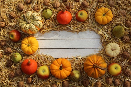 Magical autumn decorationの写真素材