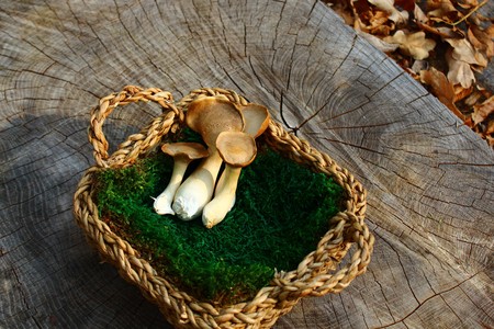 Herb slices in a basket on a logの写真素材
