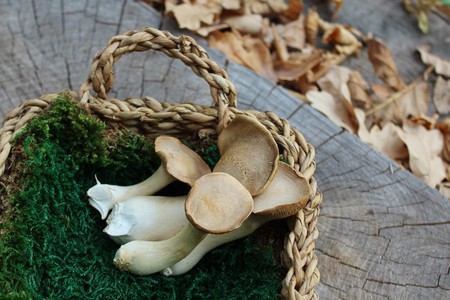 Herb slices in a basket on a logの写真素材