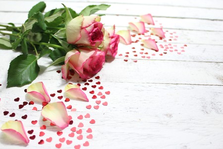 Rose with many little heartsの写真素材