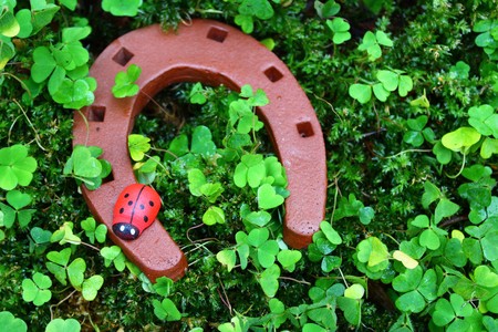 Horseshoe in cloverの写真素材